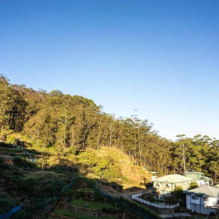 Forest View Lodge Nuwara Eliya Exterior foto