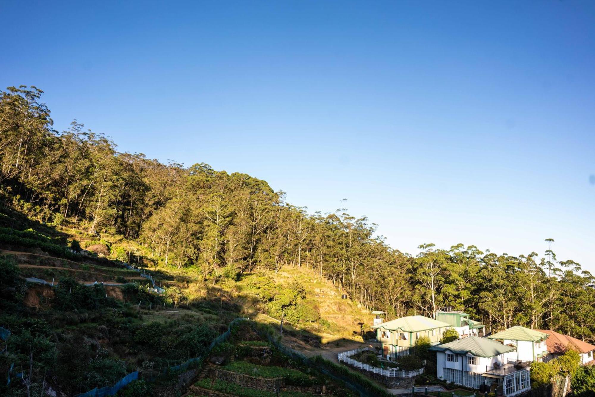 Forest View Lodge Nuwara Eliya Exterior foto